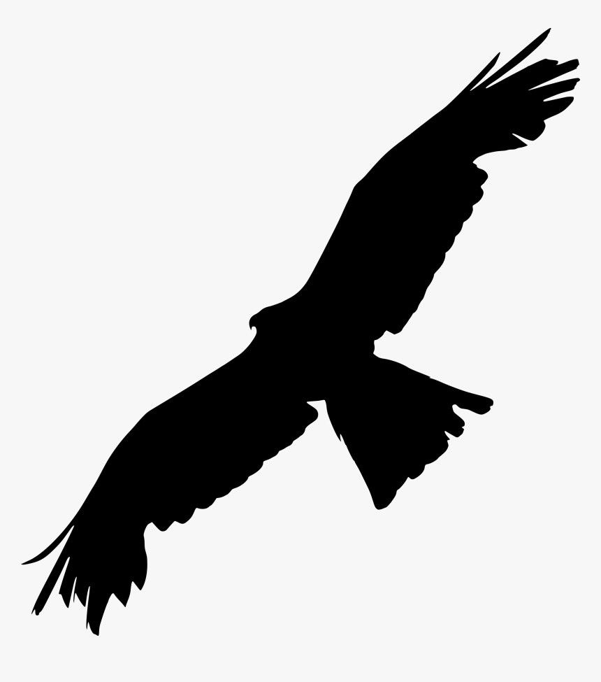 Bald Eagle Bird Of Prey Silhouette - Silhouette Raven Spread Wings, HD Png Download
