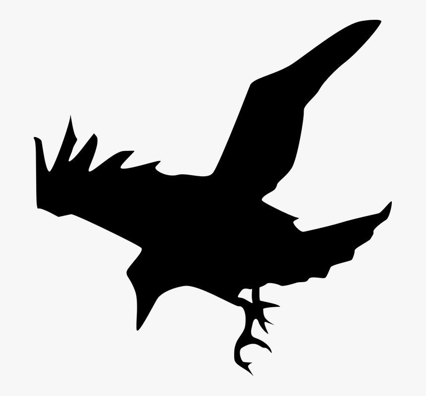 Flat, Sketch, Silhouette, Cartoon, Down, Eagle, Spring - Raven Silhouette, HD Png Download