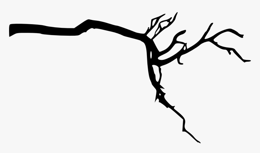 Tree Branch Silhouette Png Download - Branch Of Tree Transparent Background, Png Download
