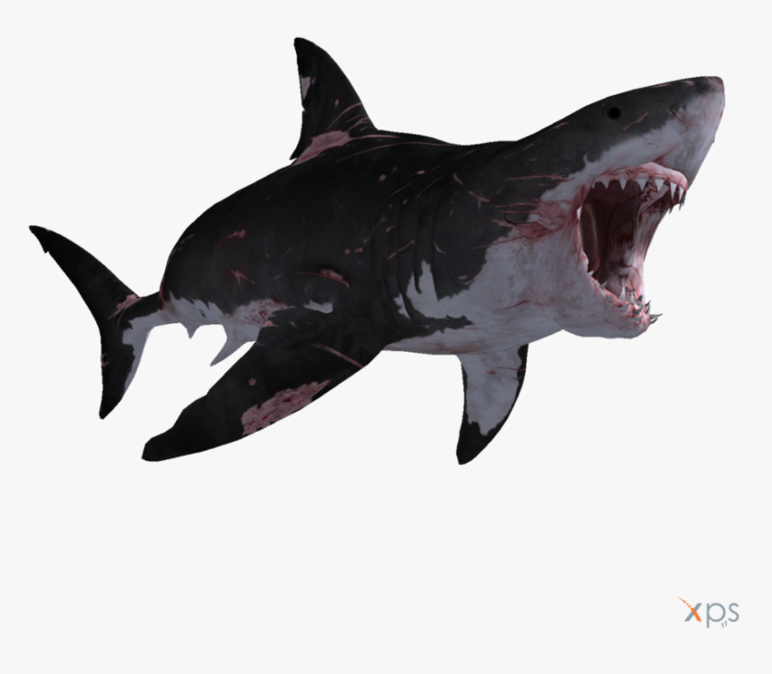 Transparent Great White Shark Clipart - Depth Great White Shark, HD Png Download