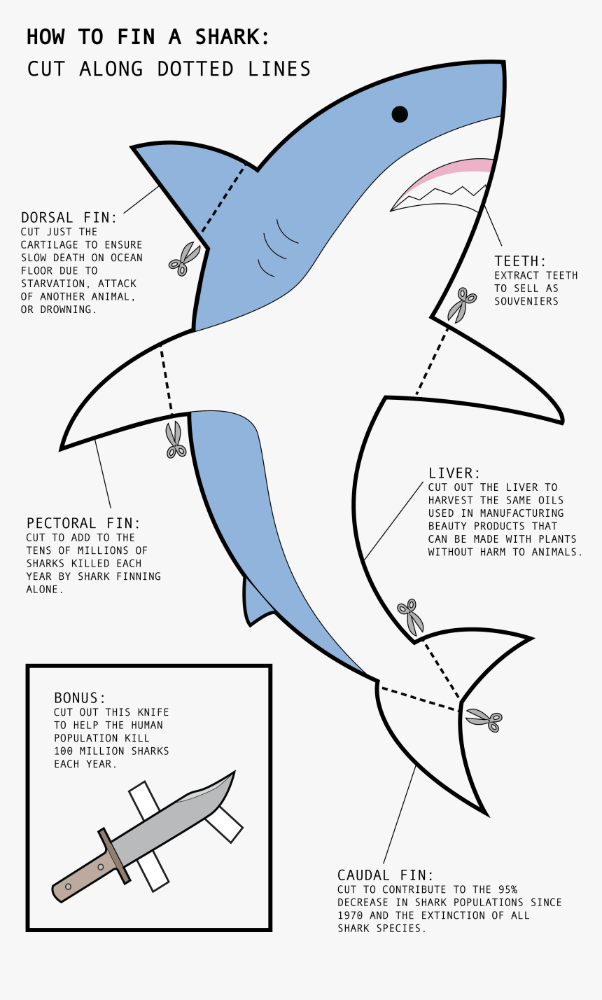 Great White Shark , Png Download - Great White Shark, Transparent Png