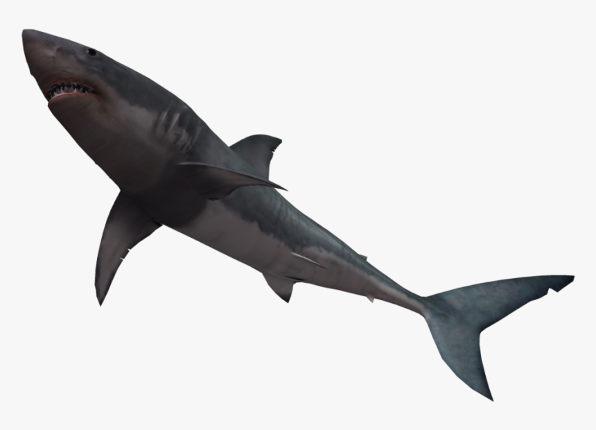 Bull Shark Great White Shark Clip Art - Shark Jumping No Background, HD Png Download