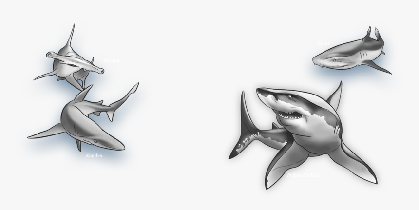 Great White Shark , Png Download - Great White Shark, Transparent Png
