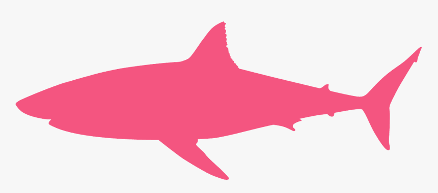 Carcharodon Megalodon, HD Png Download