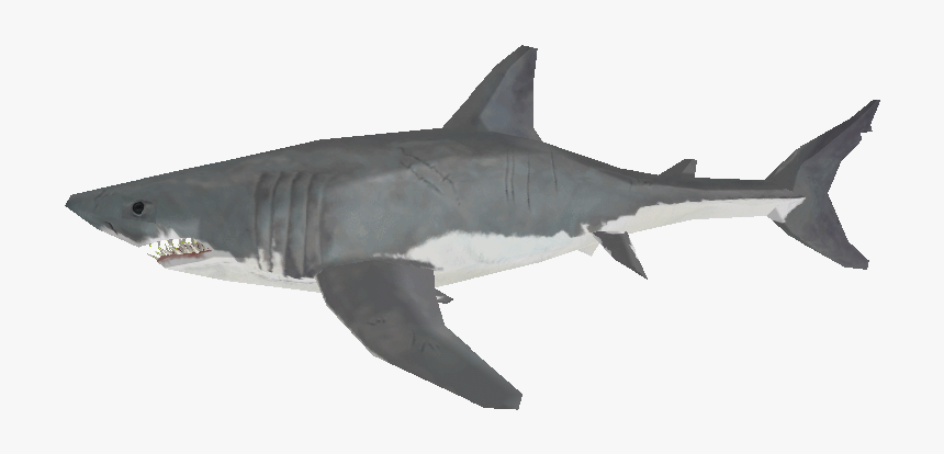 Download Zip Archive - Great White Shark, HD Png Download