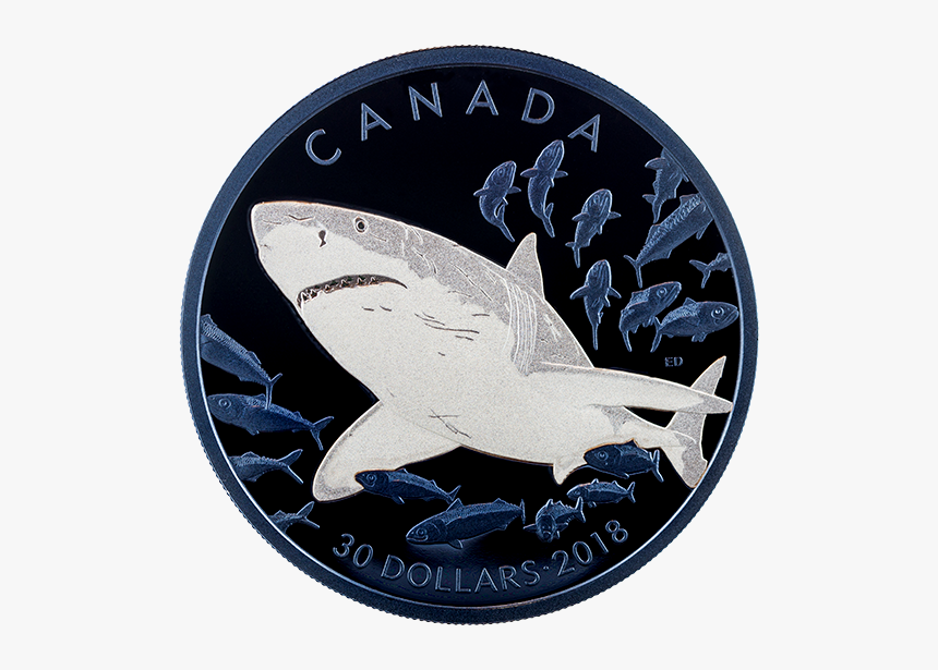 Canadian Mint Shark Coins, HD Png Download