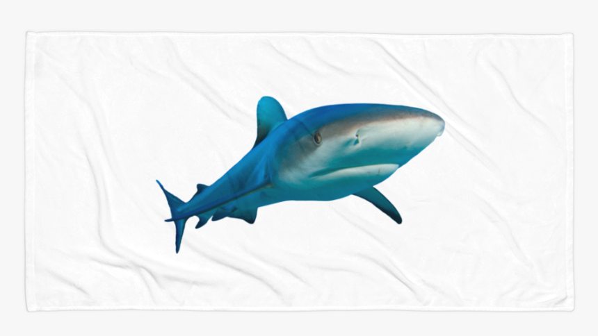 Class Lazyload Lazyload Mirage Cloudzoom Featured Image - Great White Shark, HD Png Download