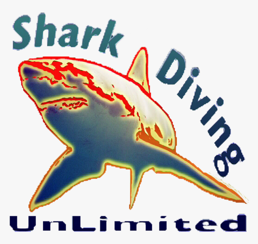 Great White Shark, HD Png Download