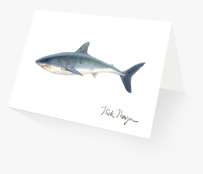 Great White Shark - Tuna, HD Png Download
