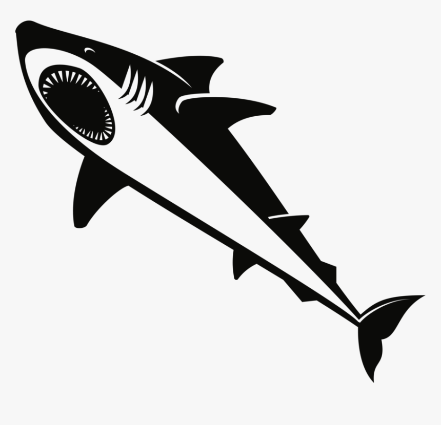 Lamnidae,shark,requiem Shark - Great White Shark, HD Png Download