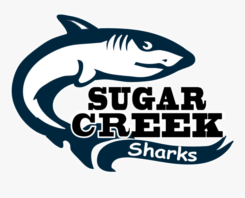 Transparent School Supply List Clipart - Tiger Shark, HD Png Download