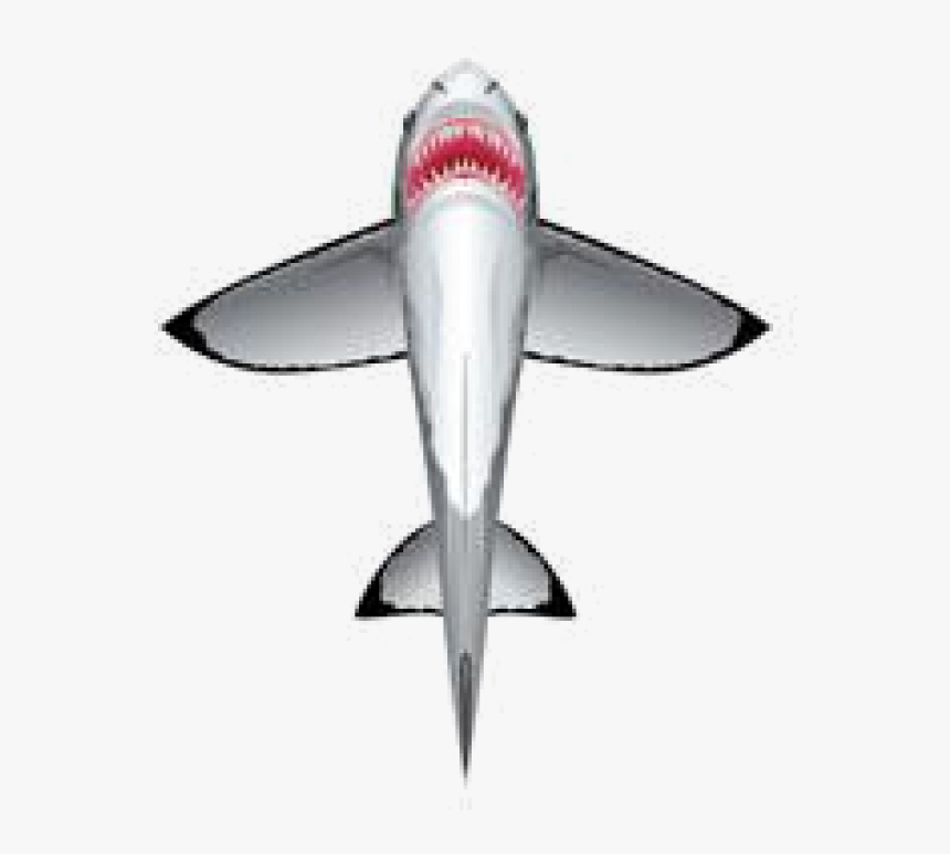 Image Of Great White Shark Kite - Kite, HD Png Download