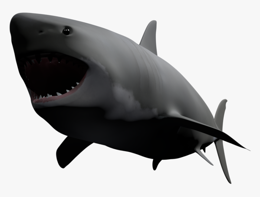 Great White Shark , Png Download - Great White Shark, Transparent Png