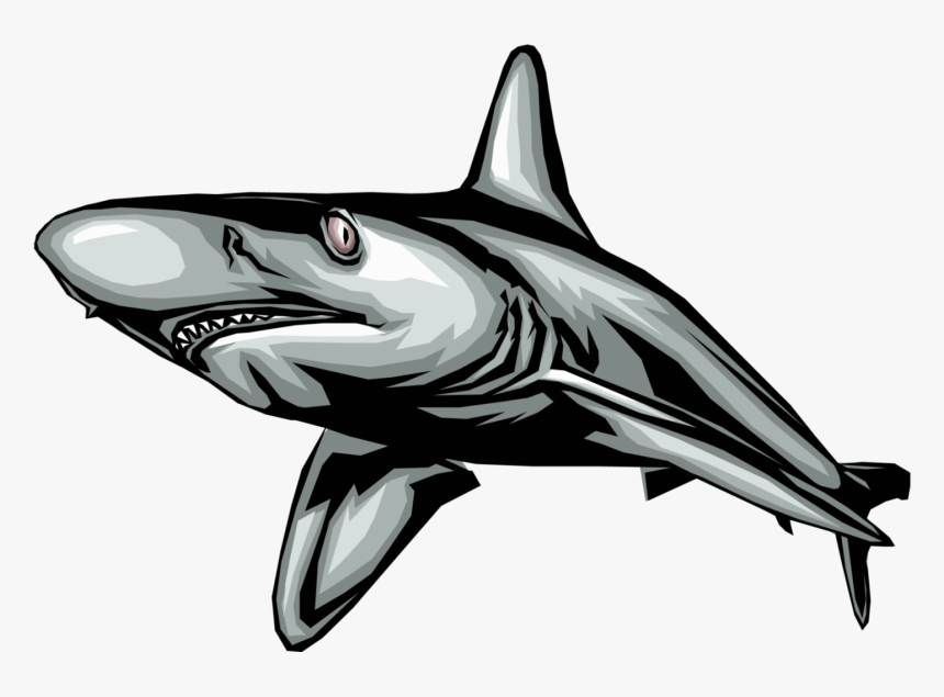 Vector Illustration Of Marine Predator Great White - Movement Of Some Animals, HD Png Download