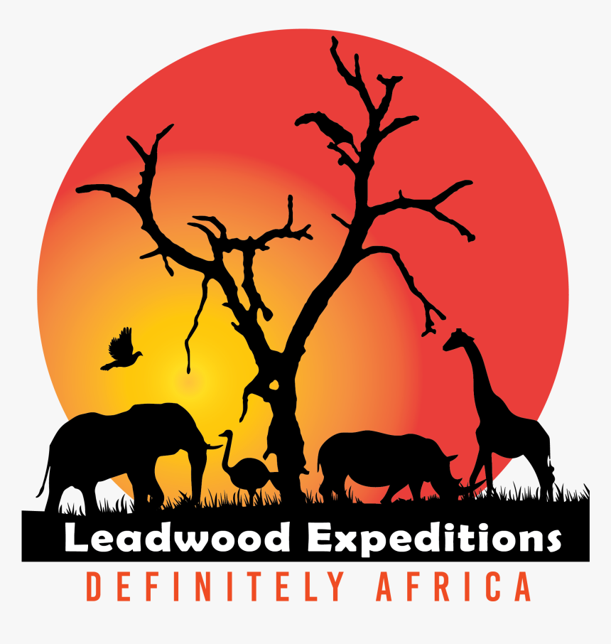 Lion King Safari, HD Png Download