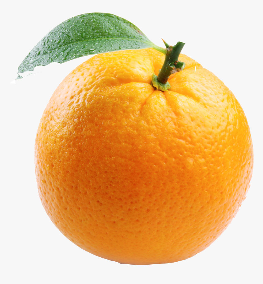 Orange In White Background, HD Png Download