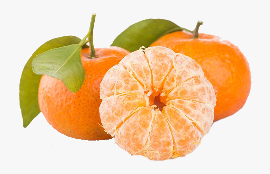 Mandarin Orange, HD Png Download