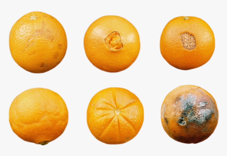 Blood Orange, HD Png Download