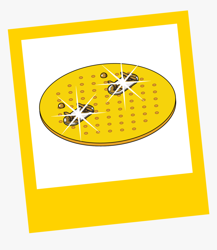 Circle, HD Png Download