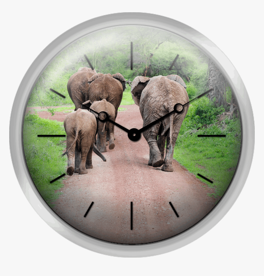 Transparent Dirt Road Png - Herd, Png Download