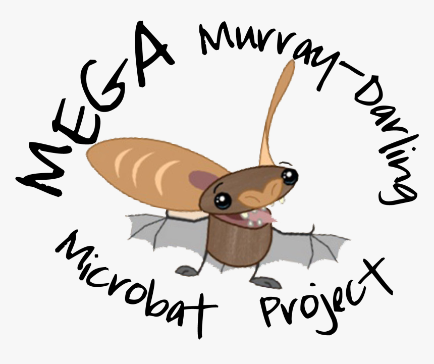 Mega Bat Project Final - Mega Murray Darling Microbat Project, HD Png Download