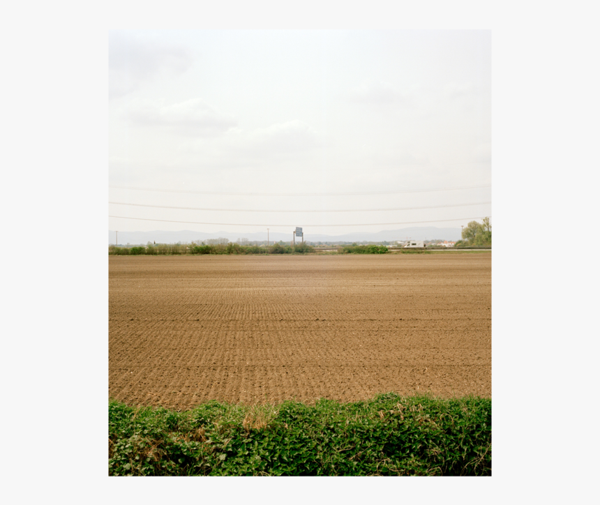 Grumbeerblues6, HD Png Download