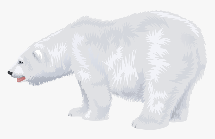 Download This High Resolution Polar Bear Transparent - Transparent Background Clip Art Polar Bear, HD Png Download