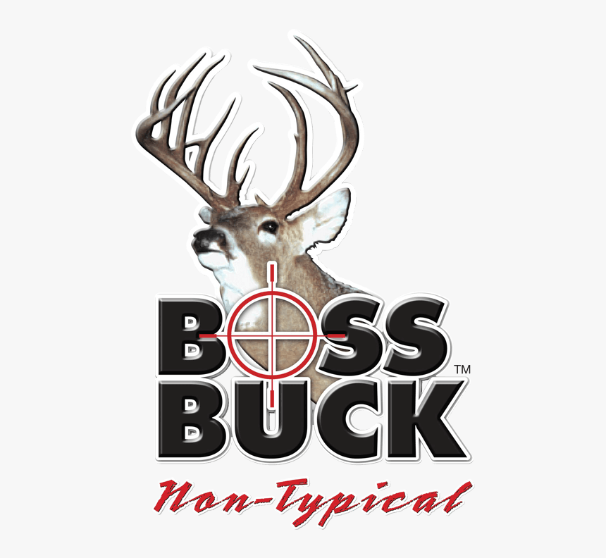 White-tailed Deer Boss Buck Deer Hunting - Boss Buck, HD Png Download