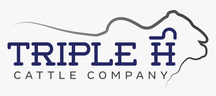 Triple H Logo Png - Coconut, Transparent Png