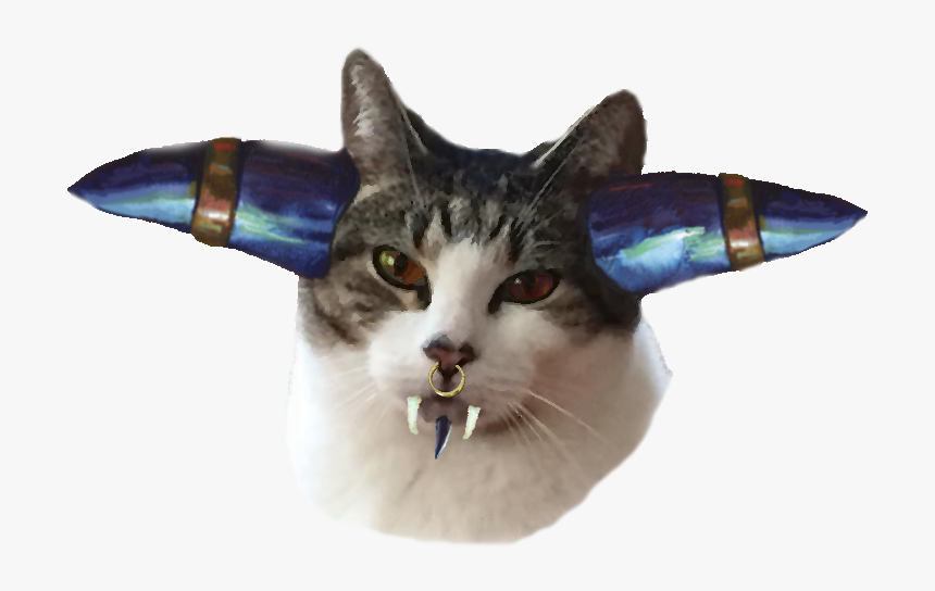 Cat Grabs Treat, HD Png Download