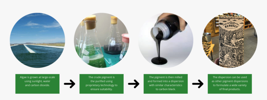 Livinginkprocess - Algae Ink, HD Png Download
