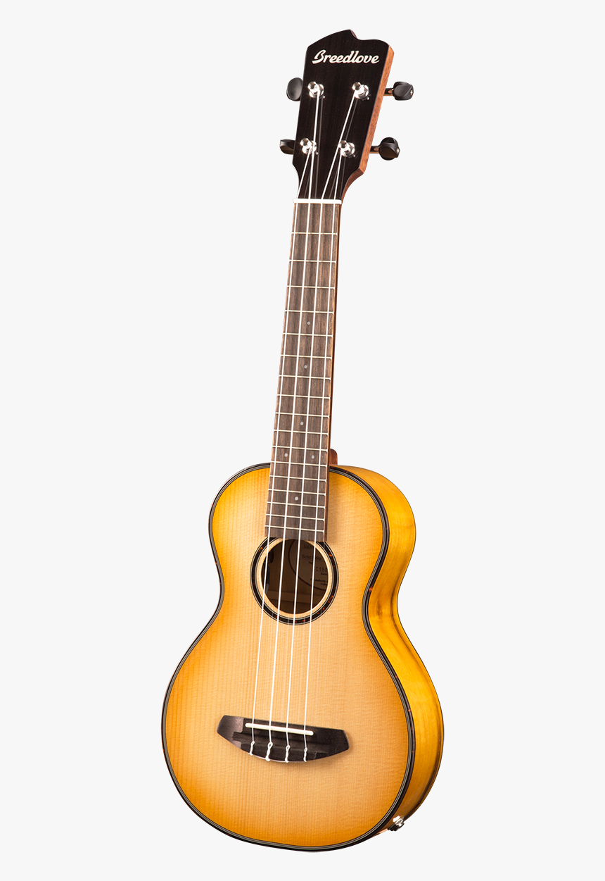 Art And Lutherie Parlour Guitar, HD Png Download