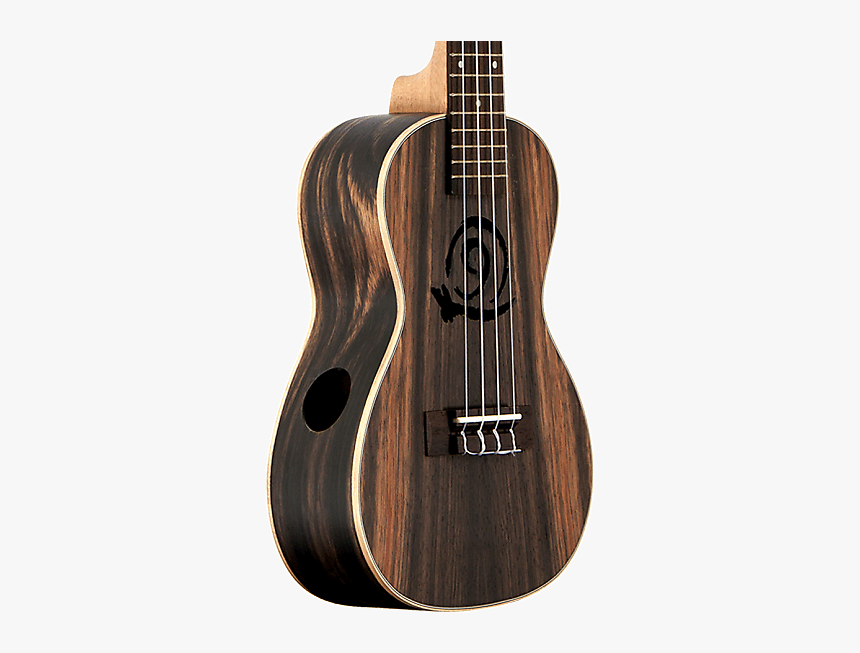 Acoustic Guitar, HD Png Download