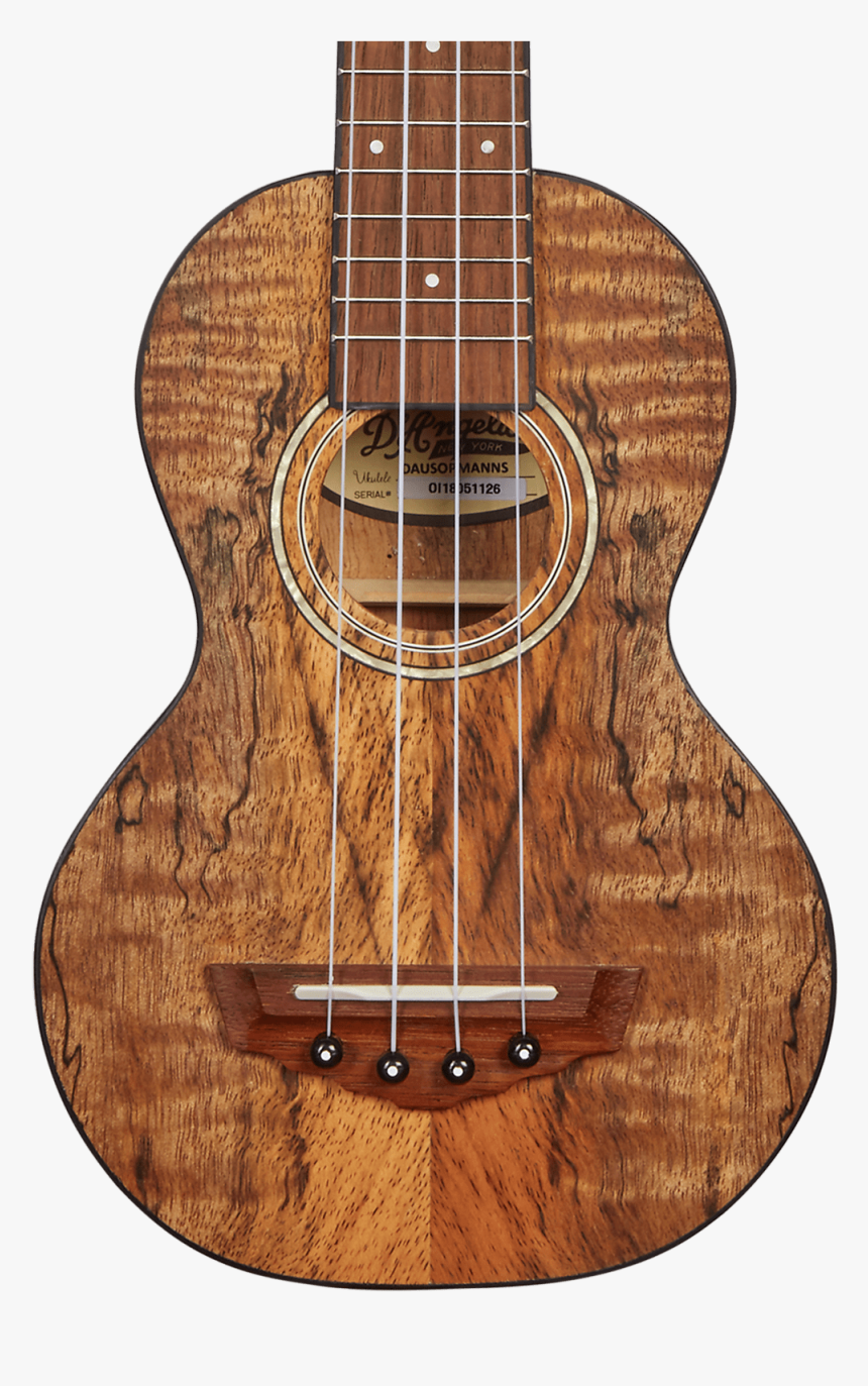 D Angelico Montauk Soprano Ukulele - D'angelico Guitars, HD Png Download