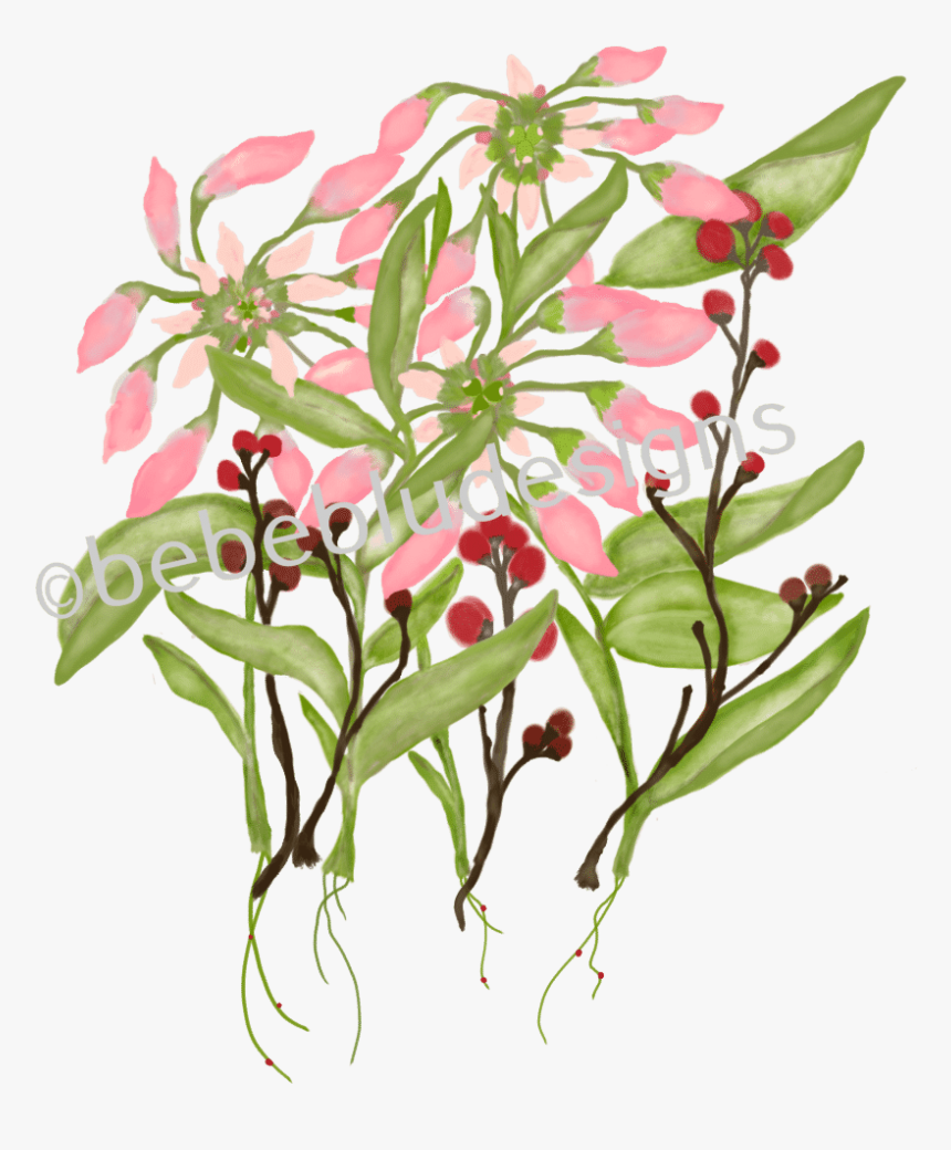 Poinsettia In Bud With Berries Clipart , Png Download - Daphne, Transparent Png