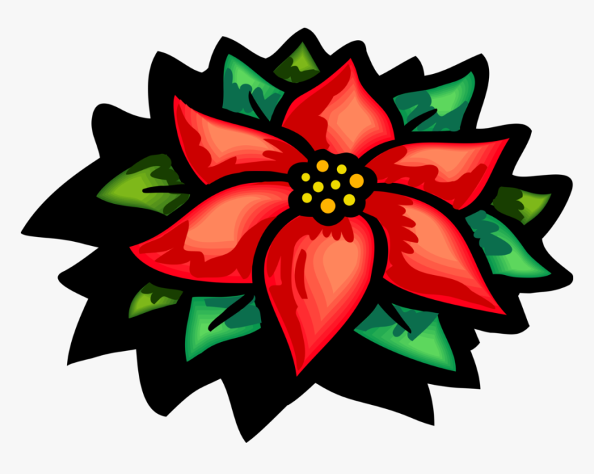 Vector Illustration Of Poinsettia Traditional Christmas - Poinsettia Clipart, HD Png Download