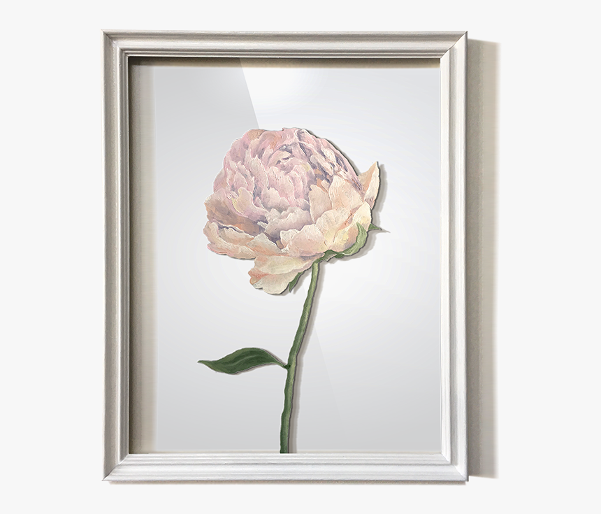 Garden Roses, HD Png Download