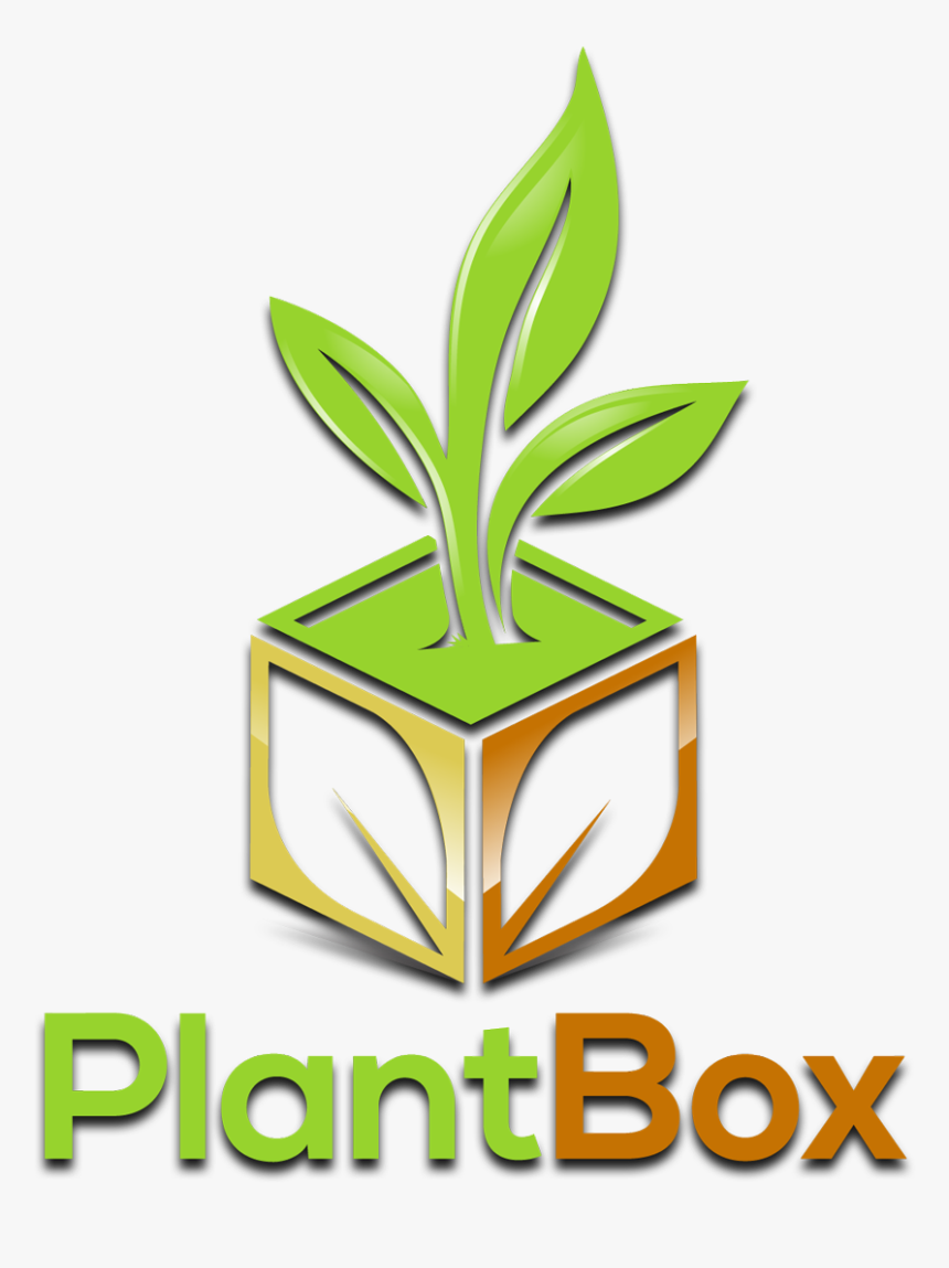 Buy Exotic And Rare Tropical Plants Online - Gano E Worldwide, HD Png Download