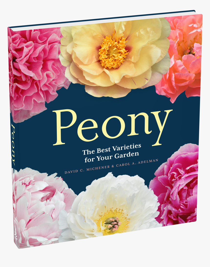 Cover - Peonies David Michener, HD Png Download