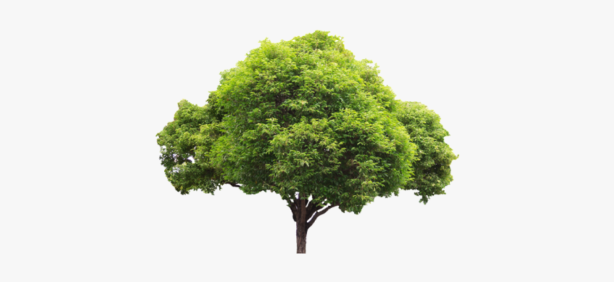 Portable Network Graphics, HD Png Download