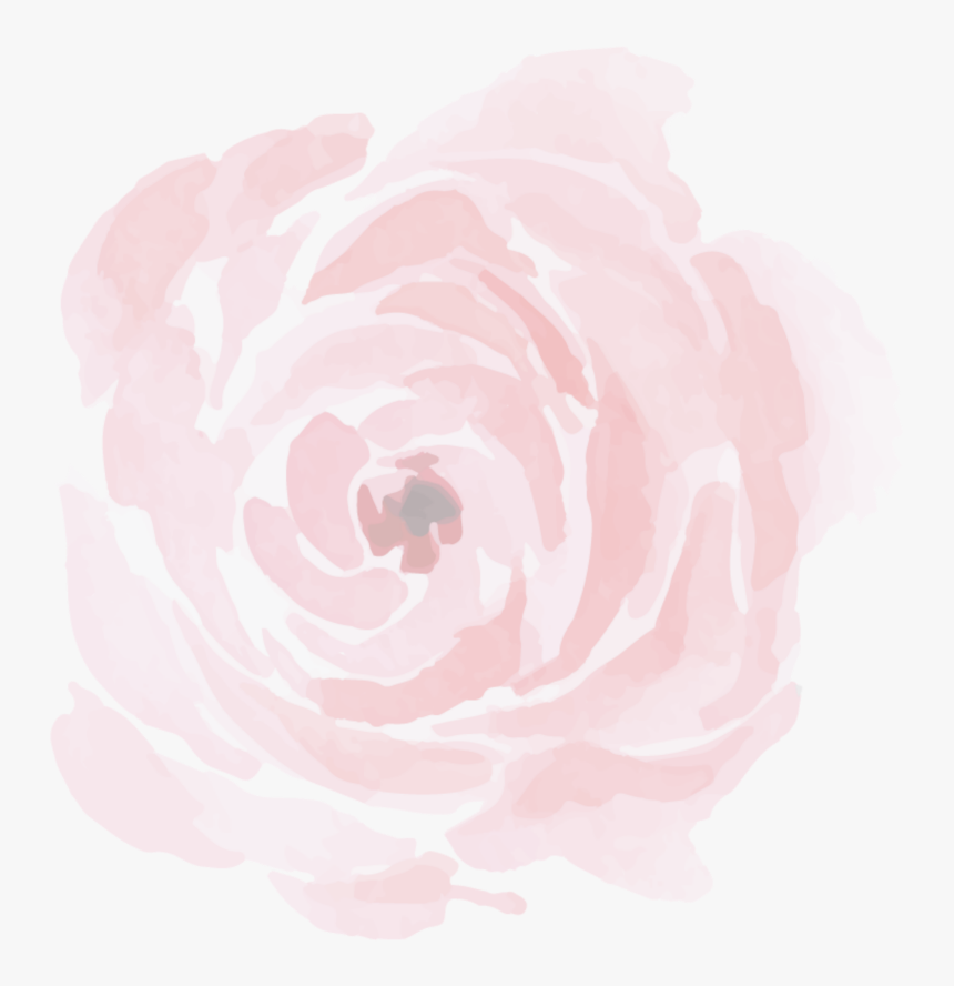 #ftestickers #background #overlay #peony #rose #transparent - Garden Roses, HD Png Download