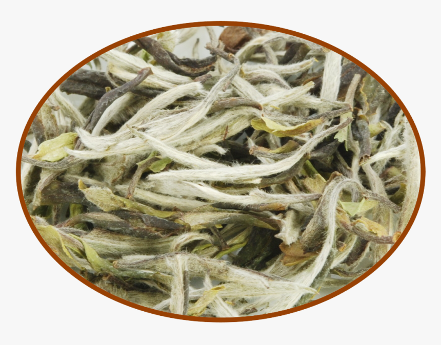 Bai Mu Dan White Tea, HD Png Download