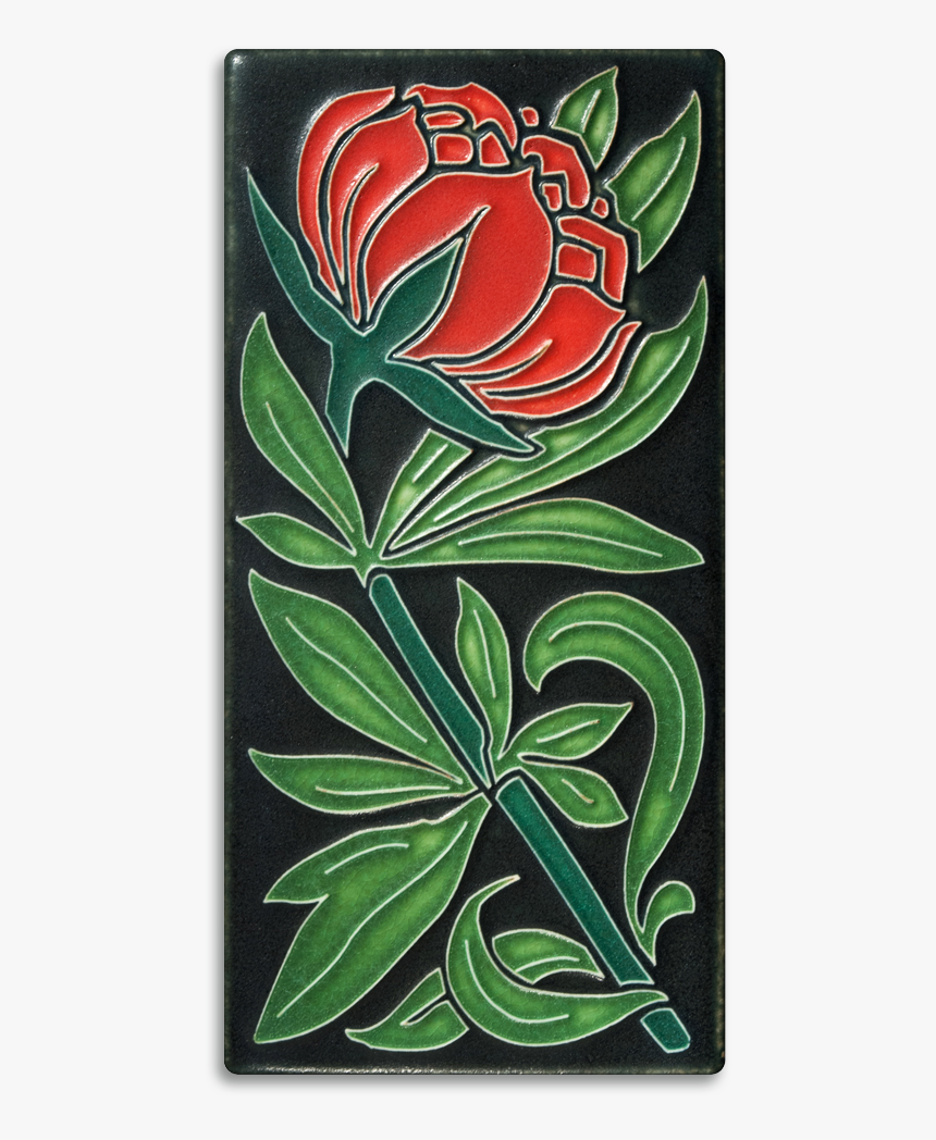 Protea, HD Png Download