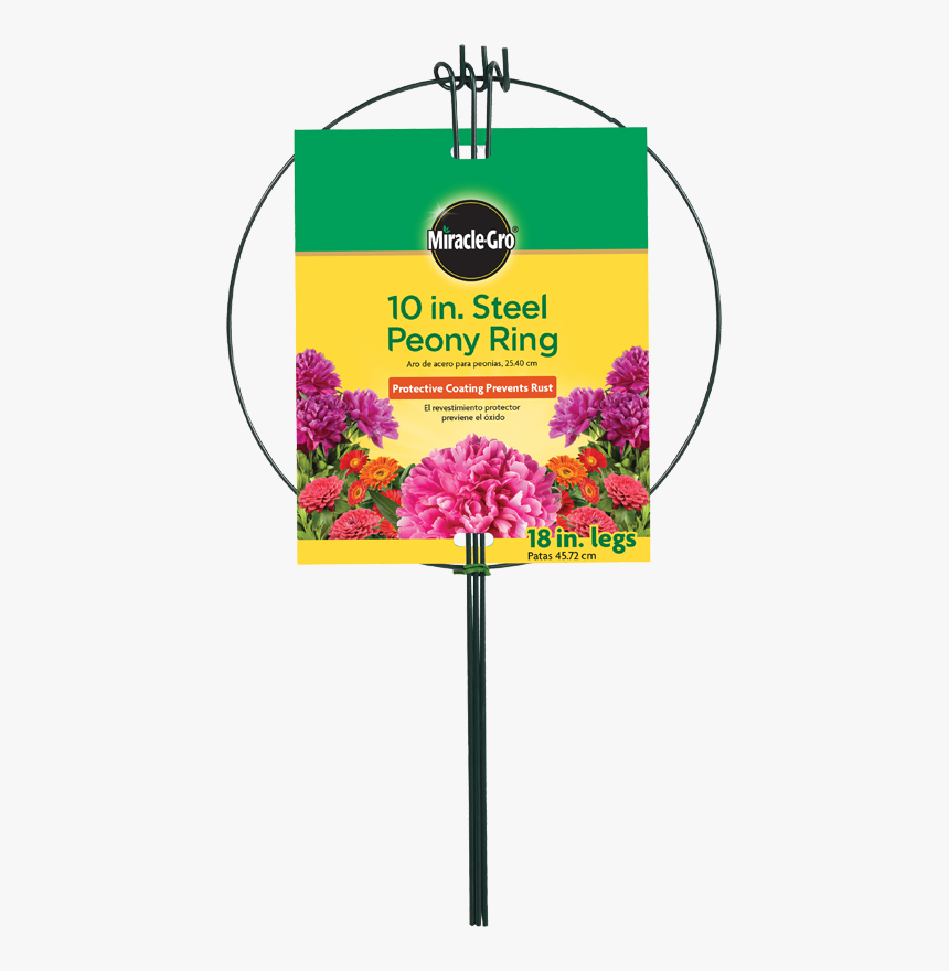 Red Clover, HD Png Download