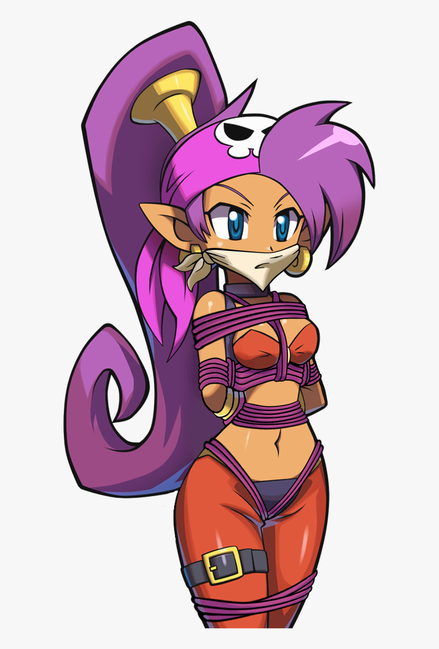 View Samegoogleiqdbsaucenao Pirate Shantae , , Png - Shantae Pirate's Curse Portraits, Transparent Png