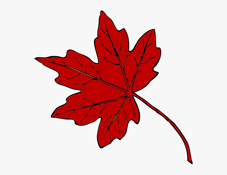 Transparent Red Leaf Png - Green Maple Leaf Clipart, Png Download
