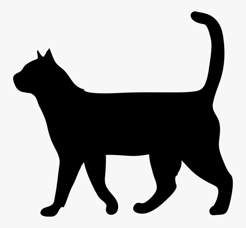 Cat, Animal, The Silhouette, Outside, Domestic Cat - Black Cat Silhouette Walking, HD Png Download