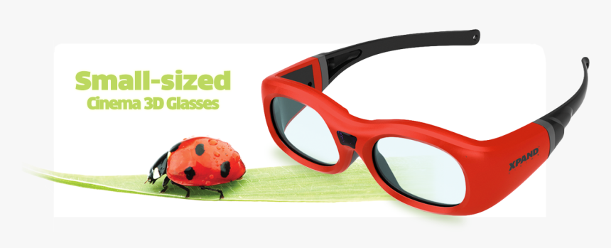 Pi Cinema 3d Glasses - Ladybug, HD Png Download