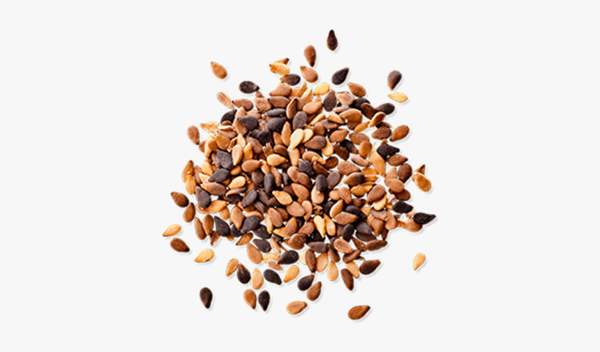 Sesame Seeds Png Pic - Sesame Seeds Png, Transparent Png