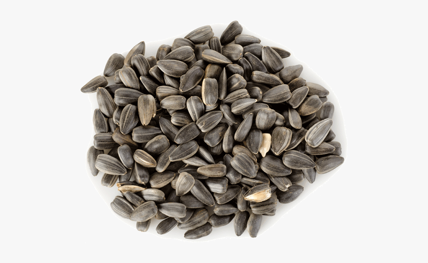 Sunflower Seeds Png, Transparent Png